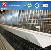 China Low Cost Layer Käfig mit Geflügel Ausrüstung